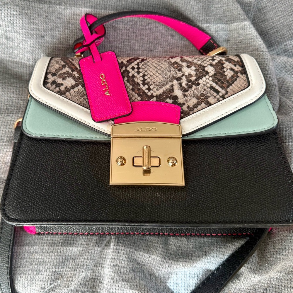 Aldo Multicolor Crossbody Bag with Gold Clasp
